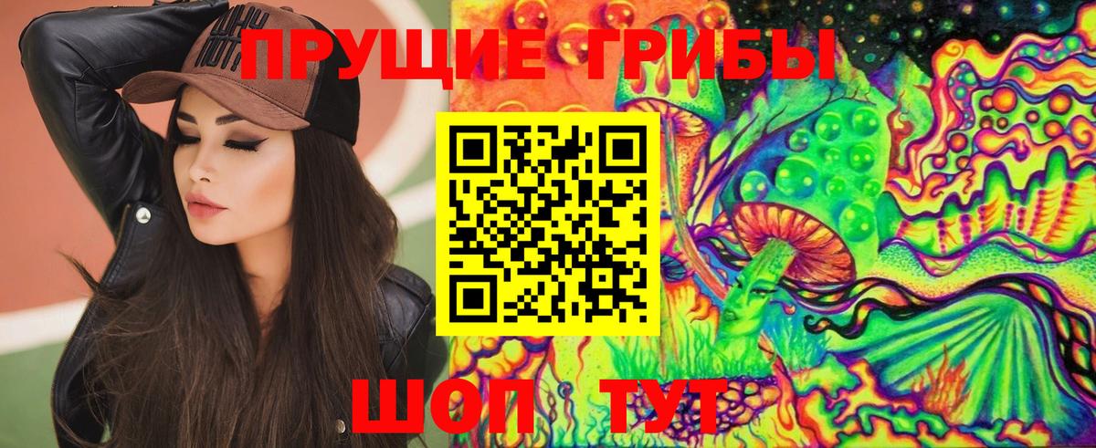Псилоцибиновые грибы прущие грибы Владивосток