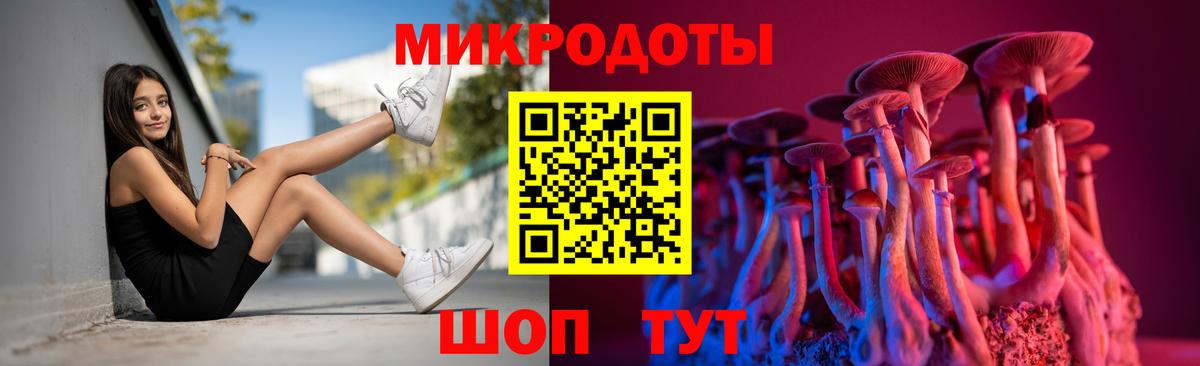 Псилоцибиновые грибы Psilocybine cubensis  Вход с VPN  Владивосток  как найти закладки  Псилоцибиновые грибы мухоморы 